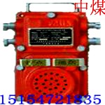 供应KXH0.2(0.6)127(36) 型声光组合信号器